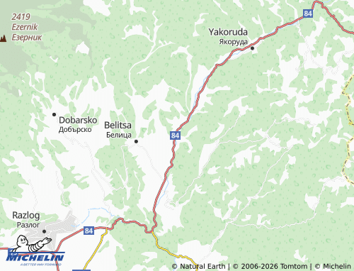 MICHELIN Dagonovo map - ViaMichelin