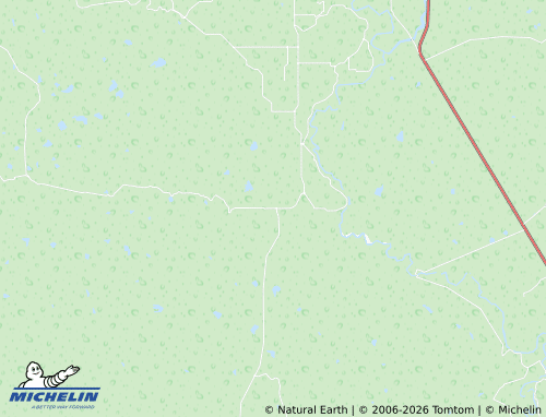 Mappa MICHELIN Nuevo Anáhuac, El Camarón, El Porvenir, El Crucero - ViaMichelin