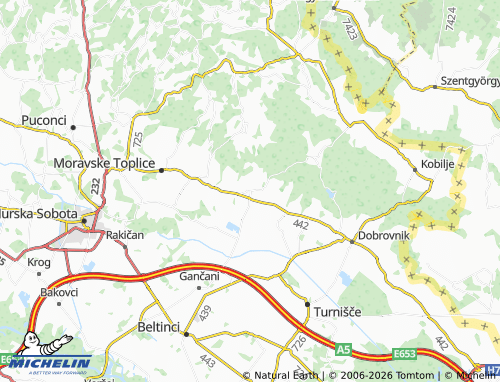 MICHELIN-Landkarte Bogojina - ViaMichelin