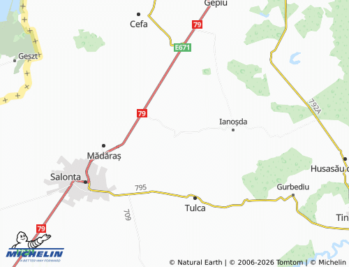 MICHELIN Homorog map - ViaMichelin