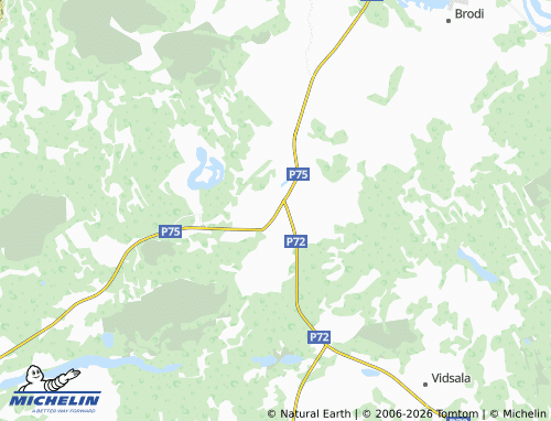 Mapa MICHELIN Birži - ViaMichelin