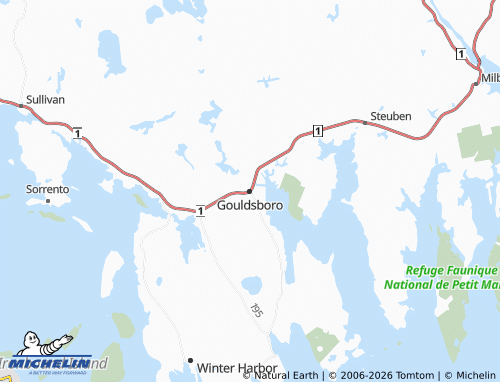 Kaart MICHELIN Gouldsboro - ViaMichelin