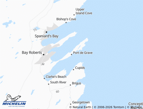 Mapa MICHELIN Port de Grave - ViaMichelin