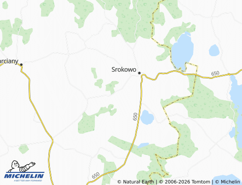 MICHELIN Leśny Rów map - ViaMichelin