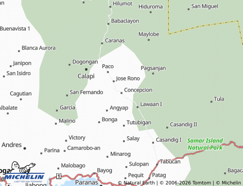 MICHELIN Concepcion map - ViaMichelin