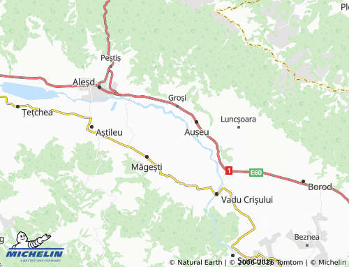 MICHELIN Cacuciu Nou map - ViaMichelin