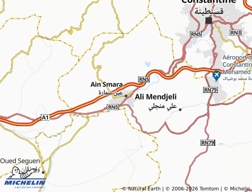 MICHELIN Ayn Samarah map - ViaMichelin