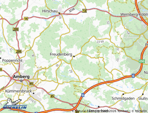 Mappa MICHELIN Freudenberg - ViaMichelin