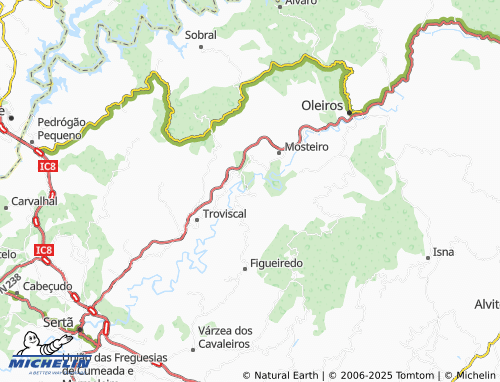 MICHELIN Vale de Souto map - ViaMichelin