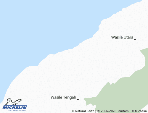 MICHELIN Iga map - ViaMichelin