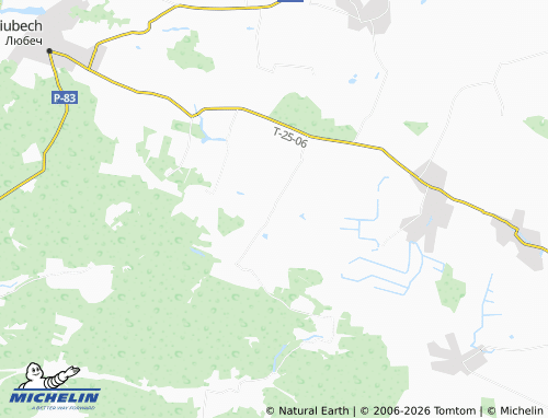 Mappa MICHELIN Tarasa Shevchenka - ViaMichelin