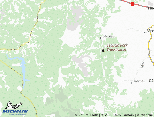 MICHELIN Rogojel map - ViaMichelin
