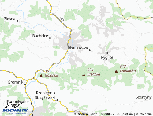 MICHELIN Burzyn map - ViaMichelin