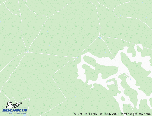 Mappa MICHELIN La Presita - ViaMichelin