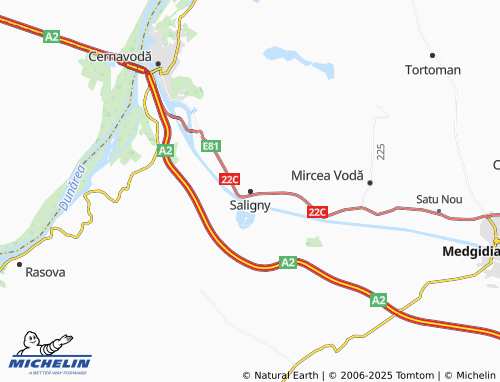 MICHELIN Saligny map - ViaMichelin