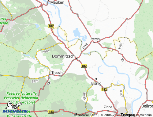 Mapa MICHELIN Dommitzsch - ViaMichelin