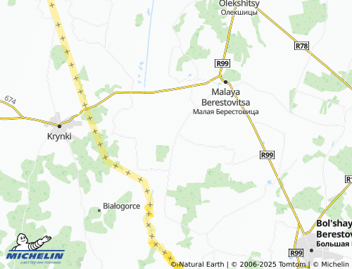 MICHELIN Voytekhovshchina map - ViaMichelin