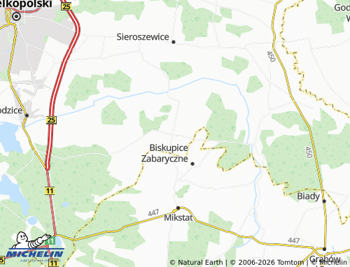 MICHELIN Strzyżew map - ViaMichelin