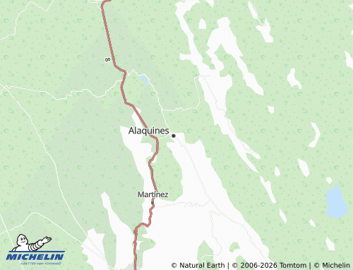 Mappa MICHELIN De San Antonio, Alaquines - ViaMichelin