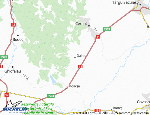 MICHELIN Dalnic map - ViaMichelin