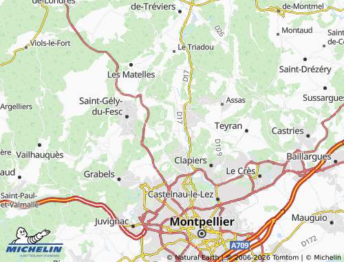 Mappa MICHELIN Saint-Clément-de-Rivière - ViaMichelin