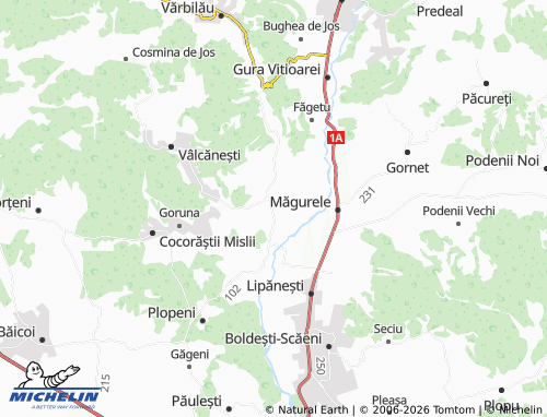 MICHELIN Dumbrăvești map - ViaMichelin