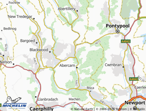 Mappa MICHELIN Newbridge - ViaMichelin