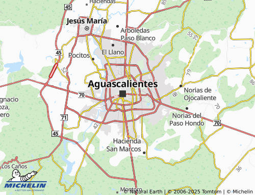 MICHELIN San Fernando map - ViaMichelin