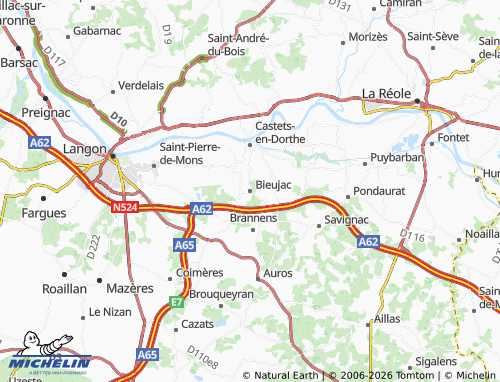 Carte MICHELIN Bieujac - ViaMichelin
