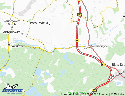 MICHELIN Brzeziny map - ViaMichelin