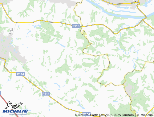 MICHELIN Buzakovo map - ViaMichelin