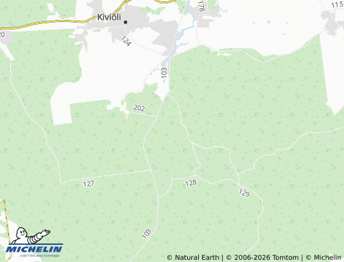 Carte MICHELIN Arupäälse - ViaMichelin
