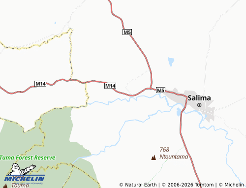 MICHELIN Nsadzu map - ViaMichelin