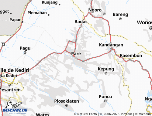 MICHELIN Pare map - ViaMichelin