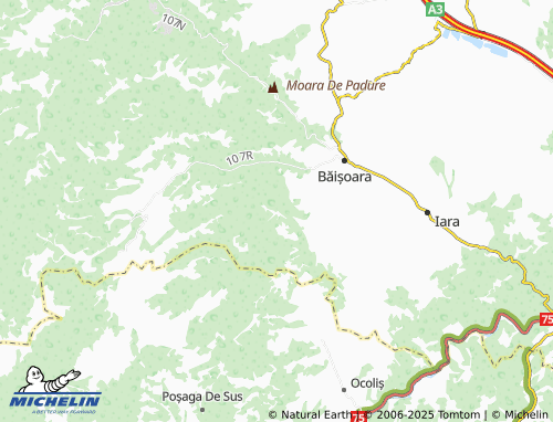 MICHELIN Valea Vadului map - ViaMichelin