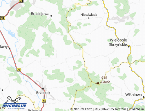 MICHELIN Grudna Górna map - ViaMichelin