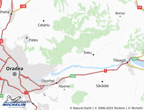 MICHELIN Husasău De Criș map - ViaMichelin