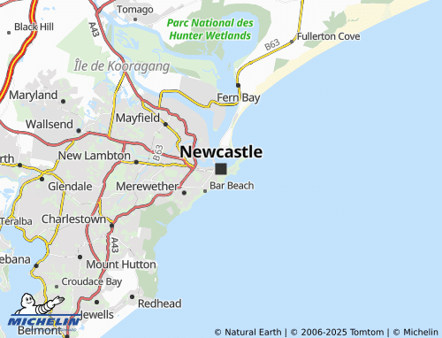 Mappa MICHELIN Newcastle - ViaMichelin