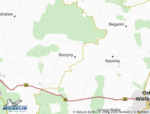 MICHELIN Baszyny map - ViaMichelin