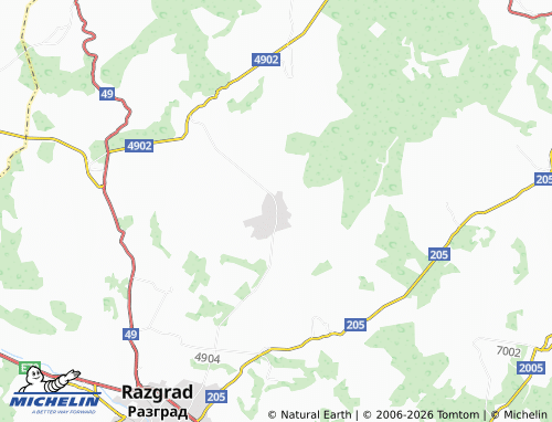 MICHELIN Dyankovo map - ViaMichelin