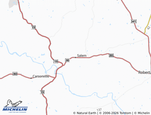 Carte MICHELIN Salem - ViaMichelin
