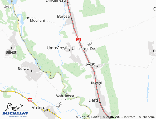 MICHELIN-Landkarte Torcești - ViaMichelin