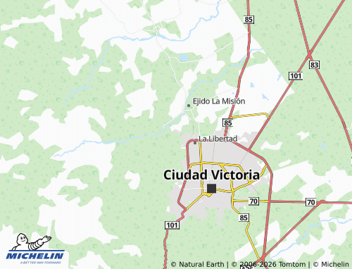 Mappa MICHELIN Villa de Guadalupe - ViaMichelin