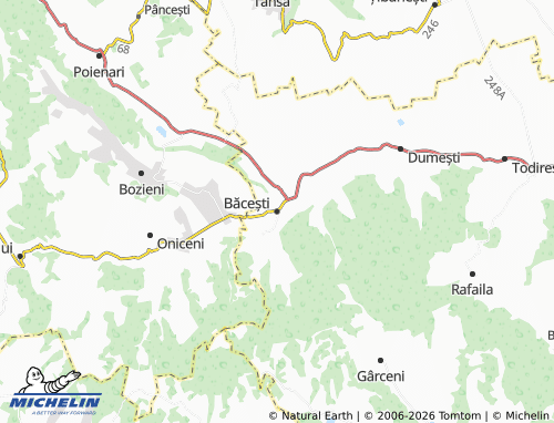 MICHELIN-Landkarte Băcești - ViaMichelin