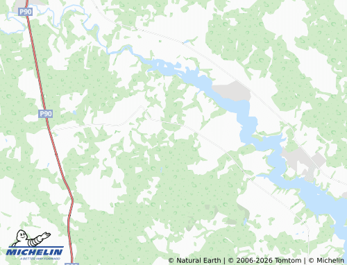 Carte MICHELIN Bor SNT - ViaMichelin