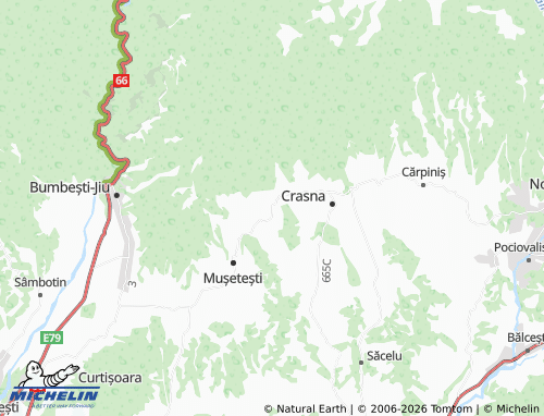 MICHELIN Stăncești Larga map - ViaMichelin