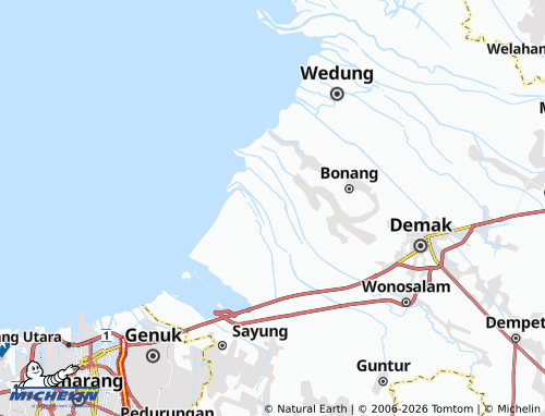 Mapa MICHELIN Banjarsari - ViaMichelin