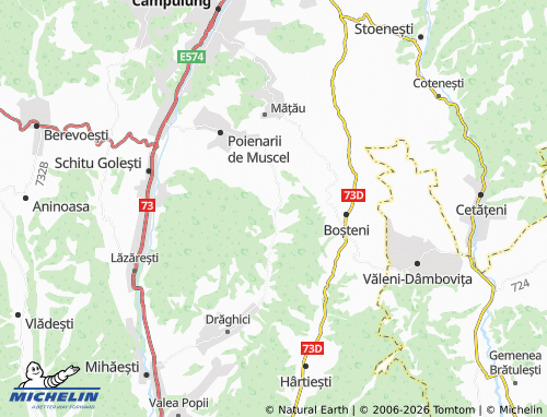 MICHELIN Valea Îndărăt map - ViaMichelin