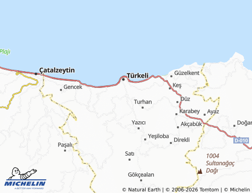 MICHELIN Düzler map - ViaMichelin