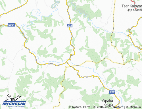 MICHELIN Katselovo map - ViaMichelin